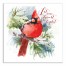 Let Your Heart Be Light Cardinal 24x24 Canvas Wall Art