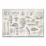 Coastal Items 36x24 Canvas