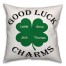 Good Luck Charms 18x18 Personalized Throw Pillow