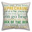Leprechaun Lingo 18x18 Throw Pillow