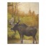 Serene Moose 30x40 Canvas