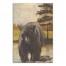 Forest Bear 24x36 Canvas