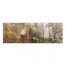 Pathway in the Woods 60x20 Canvas