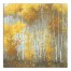 Autumn Forest 36x36 Canvas