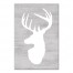 White Deer Head 24x36 Canvas
