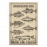 Freshwater Fish Study 20x30 Canvas