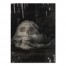 Spooky Skull 18x24 Canvas Wall Art