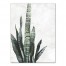 Snake Plant on Marble 30x40 Canvas