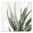 Cactus on Marble 30x30 Canvas