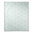 Teal Moroccan Circles 50x60 Throw Blanket