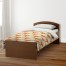Fox Face Friend Twin Duvet