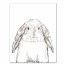 Baby Bunny Sketch Canvas Wall Art, 11x14