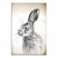 Dignified Hare Canvas Wall Art, 12x18