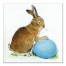 Traditional Easter Bunny Canvas Wall Art, 16x16
