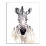 Watercolor Zebra Wall Art