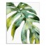Watercolor Palm Leaf Wall Art