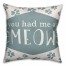 You Had Me at Meow 18x18 Throw Pillow
