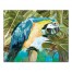 Tropical Blue Macaw 16x20 Canvas Wall Art
