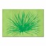 Tropical Green Palm Wall Art