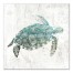Turquoise Sea Turtle