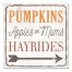 Fall This Way 12x12 Canvas Wall Art