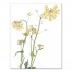 Yellow and Green Floral Botanicals Wall Art