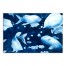 Designs Direct Creative Group Blue Fish Watercolor Wall Art