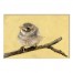 Designs Direct Creative Group Little Brown Bird - Yellow Wall Art