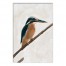 Designs Direct Creative Group Blue Speckled Kingfisher  Wall Art