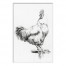 Designs Direct Creative Group Farmhouse Rooster Sketch Black and White Wall Art