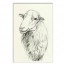 Designs Direct Creative Group Farmhouse Sheep Sketch Wall Art