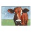 Designs Direct Creative Group Big Brown Cow Wall Art