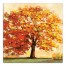 Fall Tree 16x16 Canvas Wall Art