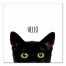 Curious Hello Black Cat Wall Art