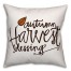 Autumn Harvest Blessing Pillow