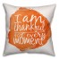 I Am Thankful for Every Moment Pillow
