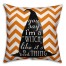 Witchy Saying Pillow