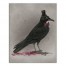 Stylish Crow Wall Art
