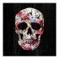 Floral Skull Wall Art