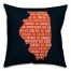Navy Illinois Go Team 16x16 Spun Poly Pillow