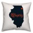 Blue and Orange Illinois Pride 16x16 Spun Poly Pillow