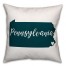 Teal and White Pennsylvania Pride 16x16 Spun Poly Pillow