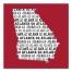 Rust Red Georgia Go Team 16x16 Canvas Wall Art