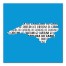 Designs Direct Creative Group Blue North Carolina Go Team 16x16 Canvas Wall Art