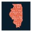 Designs Direct Creative Group Navy Illinois Go Team 16x16 Canvas Wall Art