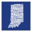Designs Direct Creative Group Blue Indiana Go Team 16x16 Canvas Wall Art