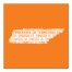 Designs Direct Creative Group Orange Tennessee Go Team 16x16 Canvas Wall Art