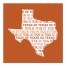Designs Direct Creative Group Orange Texas Go Team 16x16 Canvas Wall Art