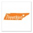 Designs Direct Creative Group Orange and White Tennessee Pride 16x16 Canvas Wall Art