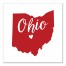 Designs Direct Creative Group Red and White Ohio Pride 16x16 Canvas Wall Art